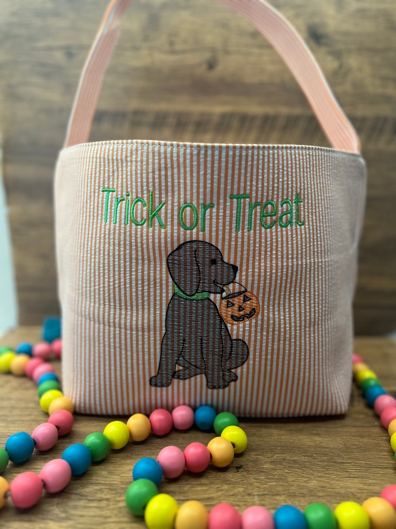 Trick or Treat Bag | Halloween Tote | Hocus Pocus | Halloween Bag | Trick or Treat Bag | Halloween Basket